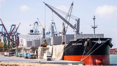 ميناء دمياط يستقبل 58151 طن من القمح الفرنسي لصالح السلع التموينية