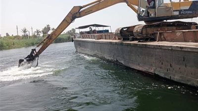 وزير الري يعلن بدء أعمال حماية جوانب ومراسي النيل في أسوان