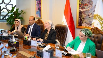 ياسمين فؤاد: زيادة مساحات التشجير وتحقيق التوافق البيئي بالإسماعيلية