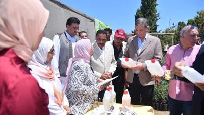 توزيع 50 ألف شتلة زيتون و120 كبش 