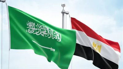وزير الخارجية ونظيره السعودي يبحثان التطورات في المنطقة وأزمة السودان