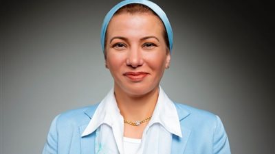 وزير البيئة تبحث سبل الإعداد لمؤتمر المناخ القادم COP 29