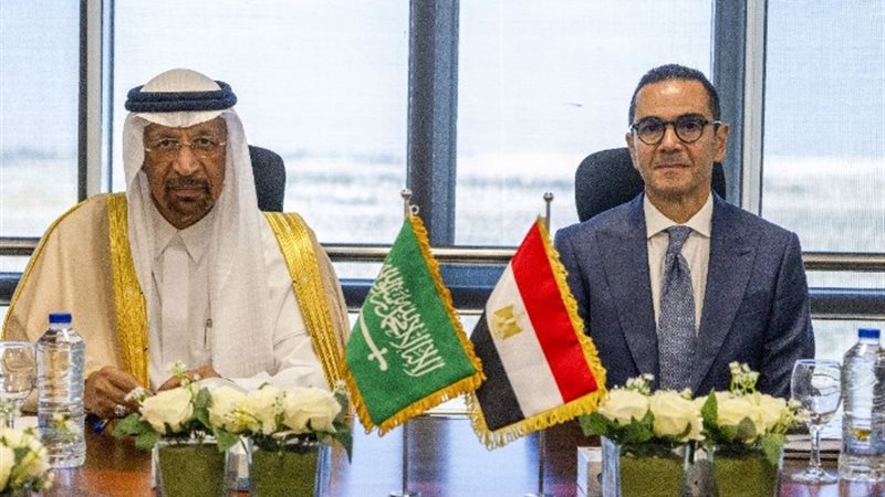 وزير الاستثمار والتجارة الخارجية المصري ونظيره السعودي