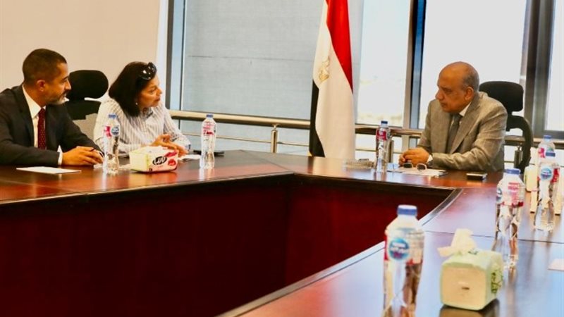 محمود عصمت وزير الكهرباء
