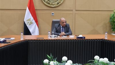 وزير الكهرباء: عقوبات مغلظة على سارقي التيار