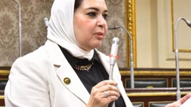 النائبة منى عمر