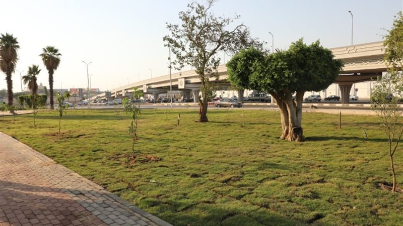 التشجير