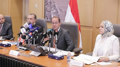 وزير المالية: ارتفاع الإيرادات غير الضريبية بـ190% بعد وصول 50% من صفقة رأس الحكمة