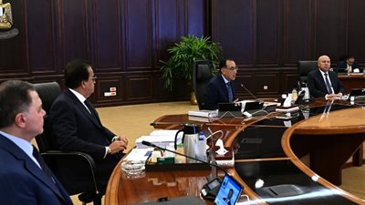 رئيس الوزراء يوجه الحكومة بمتابعة مشكلة سوق الدواء والأسمدة