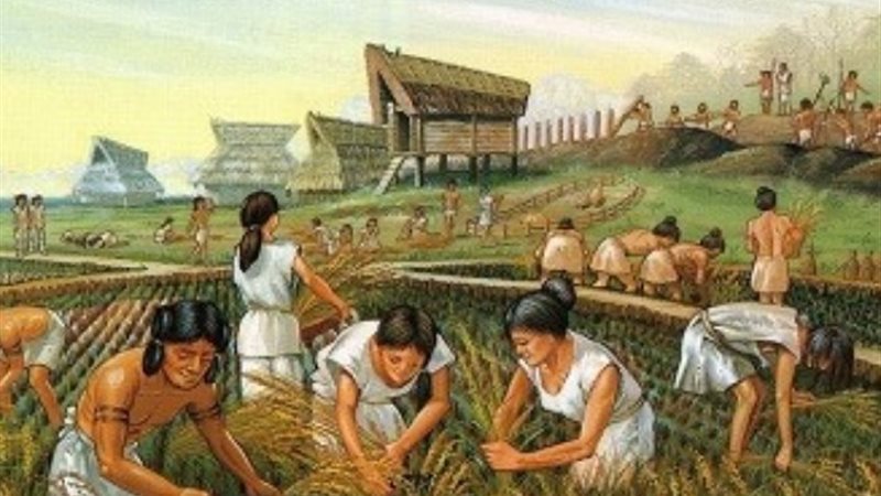 رحلة الأكل عبر العصور