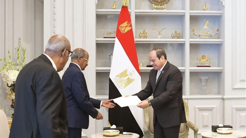 الرئيس عبد الفتاح السيسي
