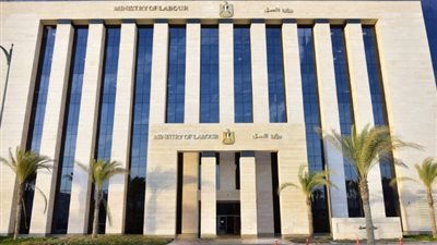 وزير العمل يهنئ «أبطال مصر» في أولمبياد باريس: بالإرادة والعمل تتحقق الآمال