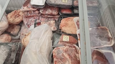 ضبط 14 طن لحوم ودواجن ومقطعات ومصنعات فاسدة بالجيزة