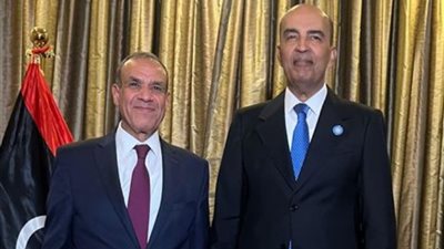 وزير الخارجية يلتقي نائب رئيس المجلس الرئاسي الليبي في رواندا