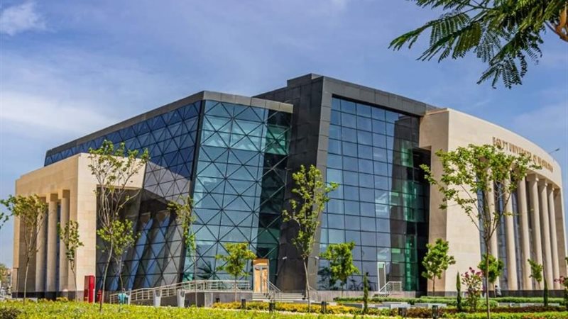 جامعة مصر المعلوماتية الأهلية