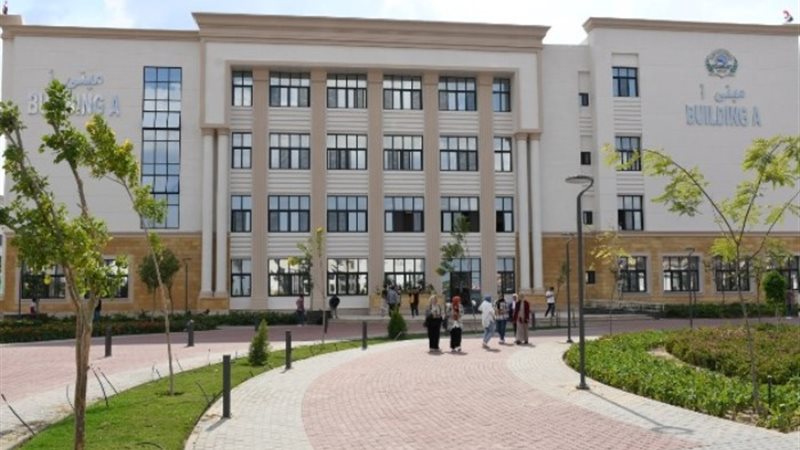 جامعة الإسماعيلية الجديدة الأهلية 2024