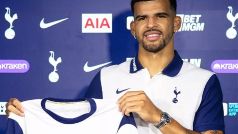 دومينيك سولانكي