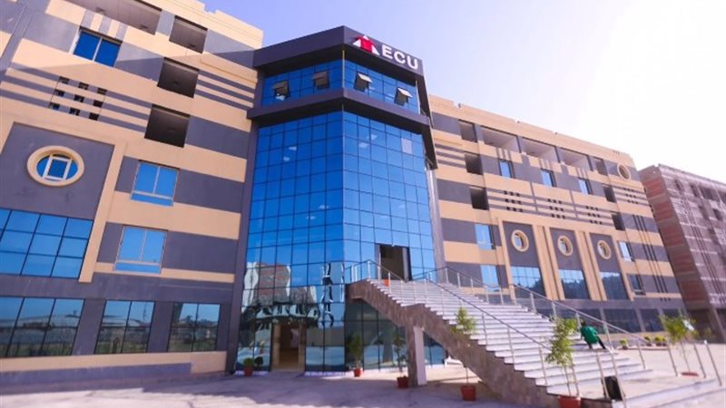 الجامعة المصرية الصينية