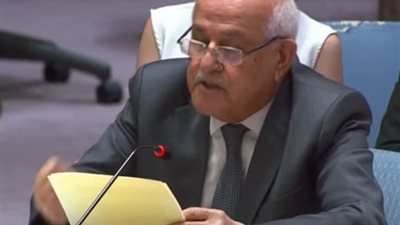 مندوب فلسطين بمجلس الأمن: يجب ألا يفلت الاحتلال من العقاب