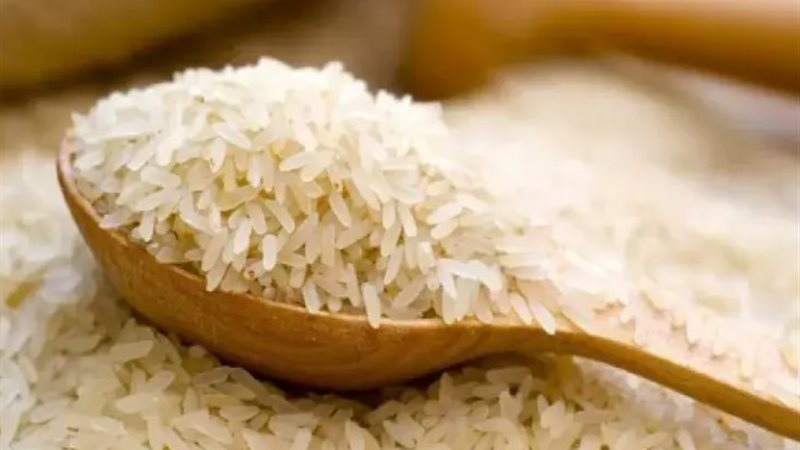 الأرز - صورة أرشيفية