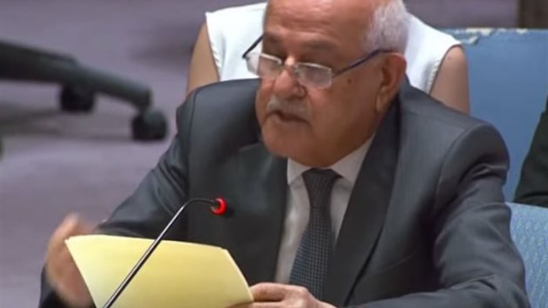 رياض منصور