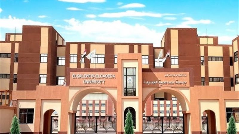 جامعة الصالحية الجديدة- أرشيفية