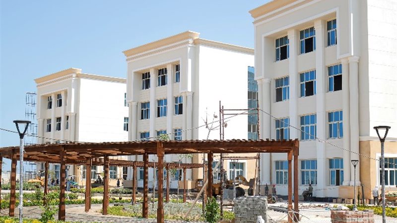 جامعة المنصورة الأهلية