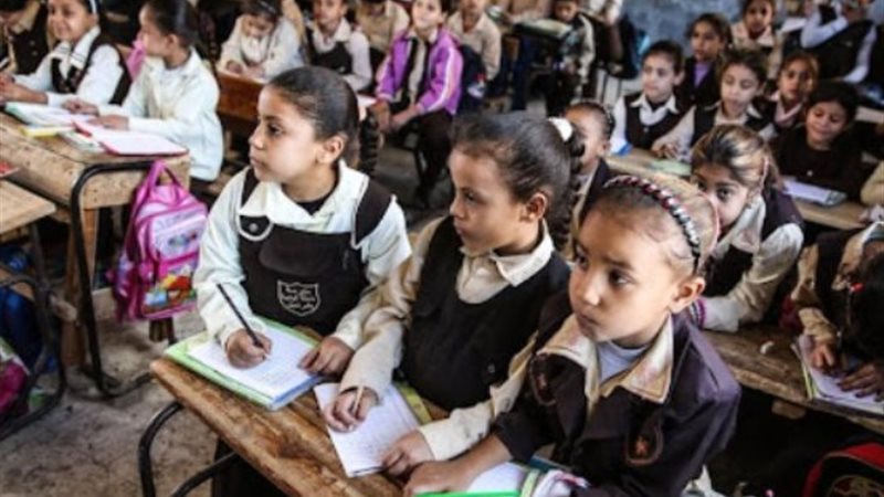 عدد الطلاب في الفصول 2025