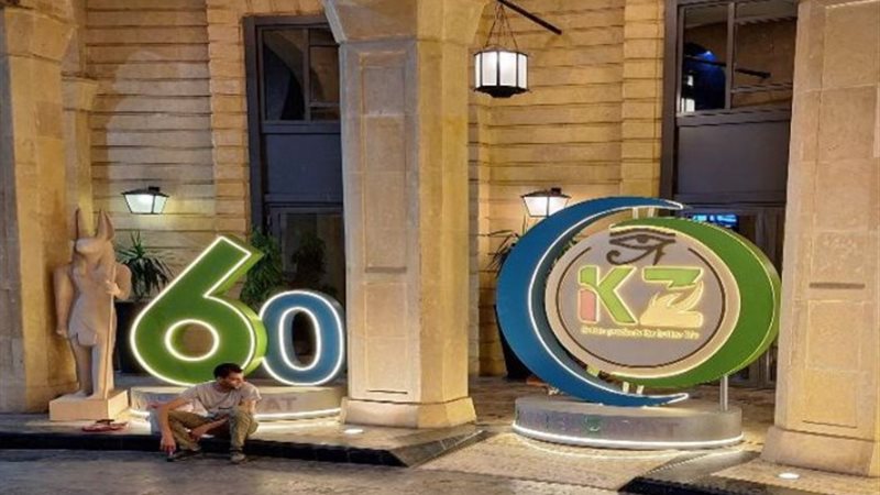 شركة كفر الزيات لمبيدات