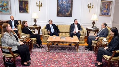 بدر عبد العاطي يستقبل وفد لجنة العلاقات الخارجية بمجلس الشيوخ