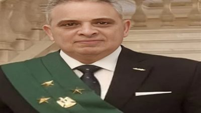المستشار أبو الحسين فتحي رئيسا لمجلس إدارة نادي قضاة مصر