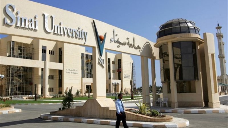جامعة سيناء
