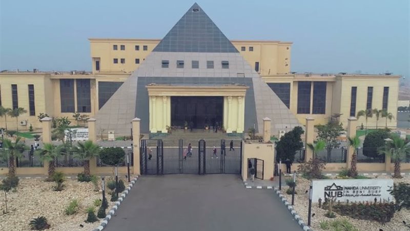 جامعة النهضة
