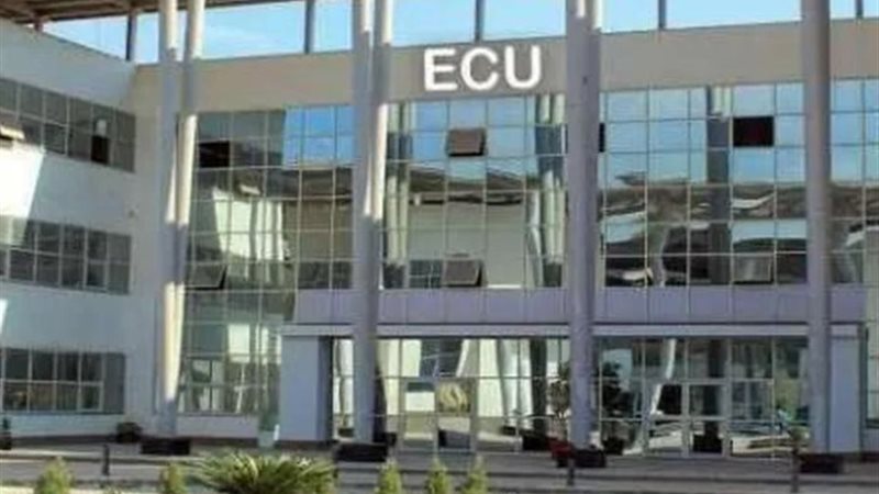 الجامعة المصرية الصينية