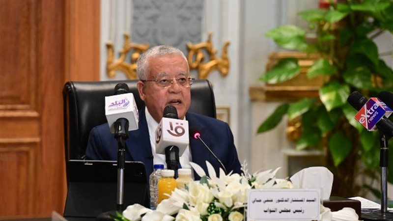 المستشار الدكتور حنفي جبالي