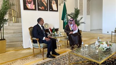 وزير الخارجية يبحث مع نظيره السعودي تعزيز التعاون المشترك