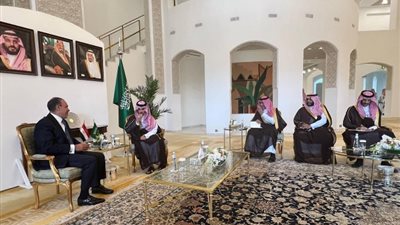 وزير الخارجية يعقد جلسة مباحثات مع نظيره السعودي بالرياض