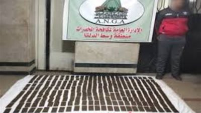 الأجهزة الأمنية تحبط محاولة تهريب بميناء القاهرة الجوي