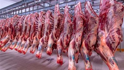 استقرار أسعار اللحوم اليوم 18 أغسطس، والضأن يتراجع في الأسواق ‏