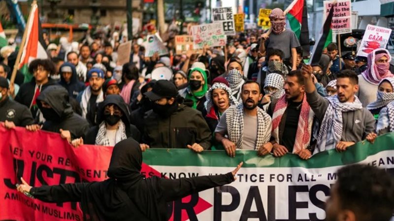 مظاهرات مؤيدة للفلسطينيين - أرشيفية