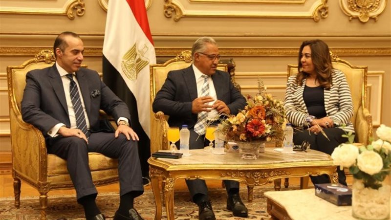 وزيرا التنمية المحلية الشئون النيابية والقانونية والتواصل ا