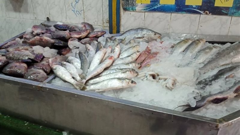سعر السمك اليوم بسوق العبور - ارشيفية