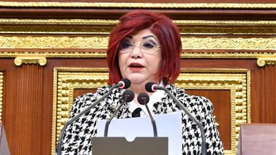 «سياحة النواب»: استجابة الرئيس لتوصيات الحبس الاحتياطي تعزز مسيرة العمل الحقوقي في مصر
