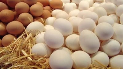 أسعار البيض اليوم السبت 24 أغسطس 2024