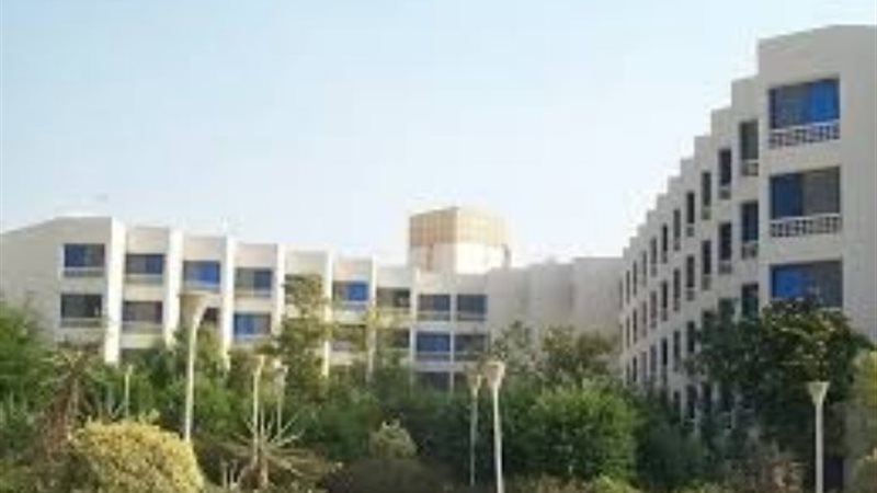 شركة الجيزة للمقاولات