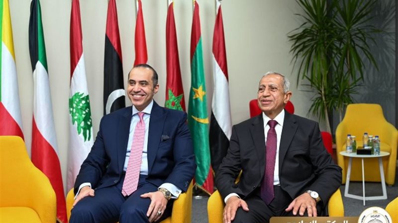 المستشار محمود فوزي، وزير الشئون النيابية والقانونية والتوا