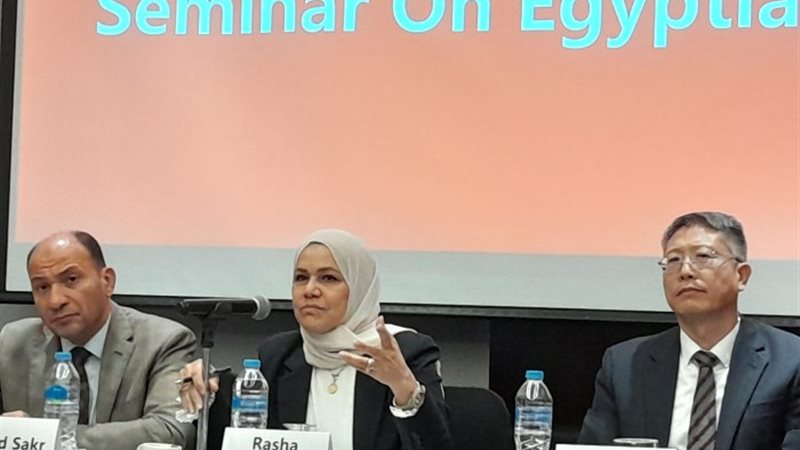 رشا عبد العال رئيس مصلحة الضرائب المصرية