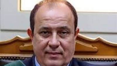 اليوم، استكمال محاكمة المتهم بقضية «خلية الزيتون»