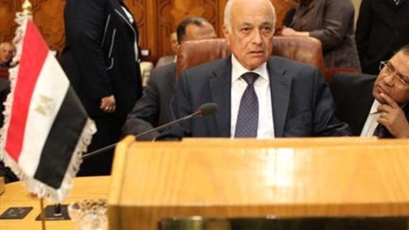 السفير نبيل العربي