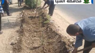 لتقليل مخاطر الاحتباس الحراري، استمرار أعمال التشجير في المنيا